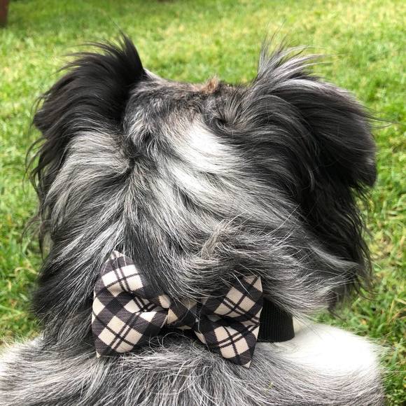 Meet your Posher, Kerri-anne - Picture 1 of 1